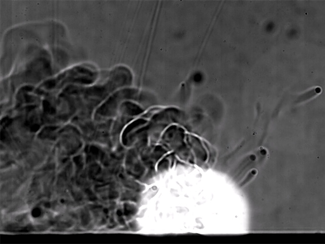 Shield gas observation of laser welding (shadow-graph method)